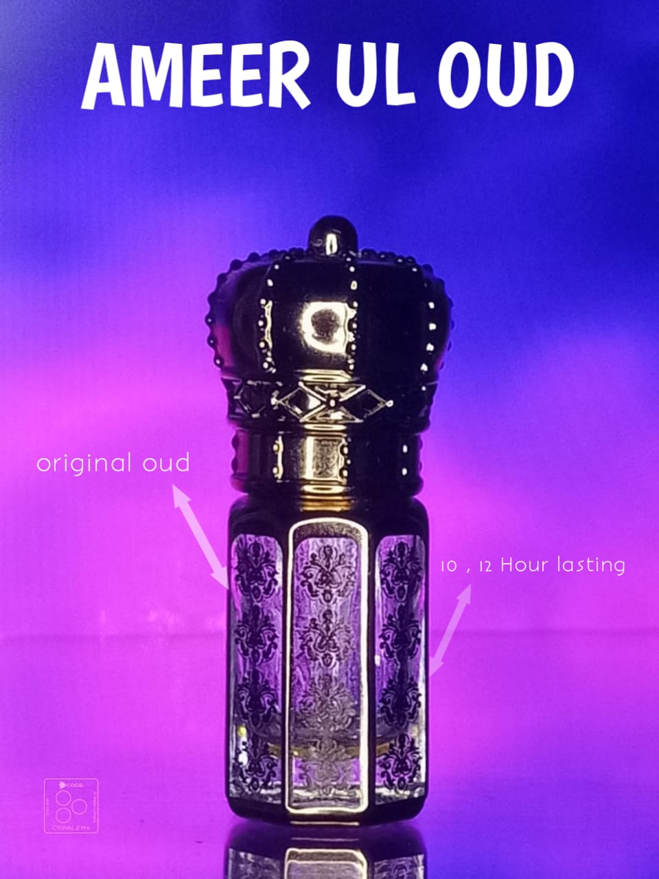 Ameer-e-Oud
